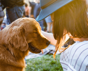 Do our dogs really love us?