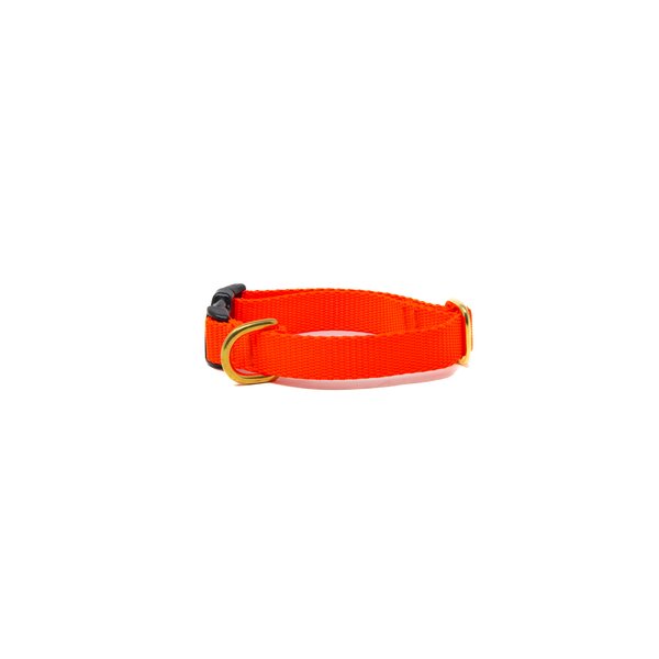 Small Dog Activewear - Neon Orange