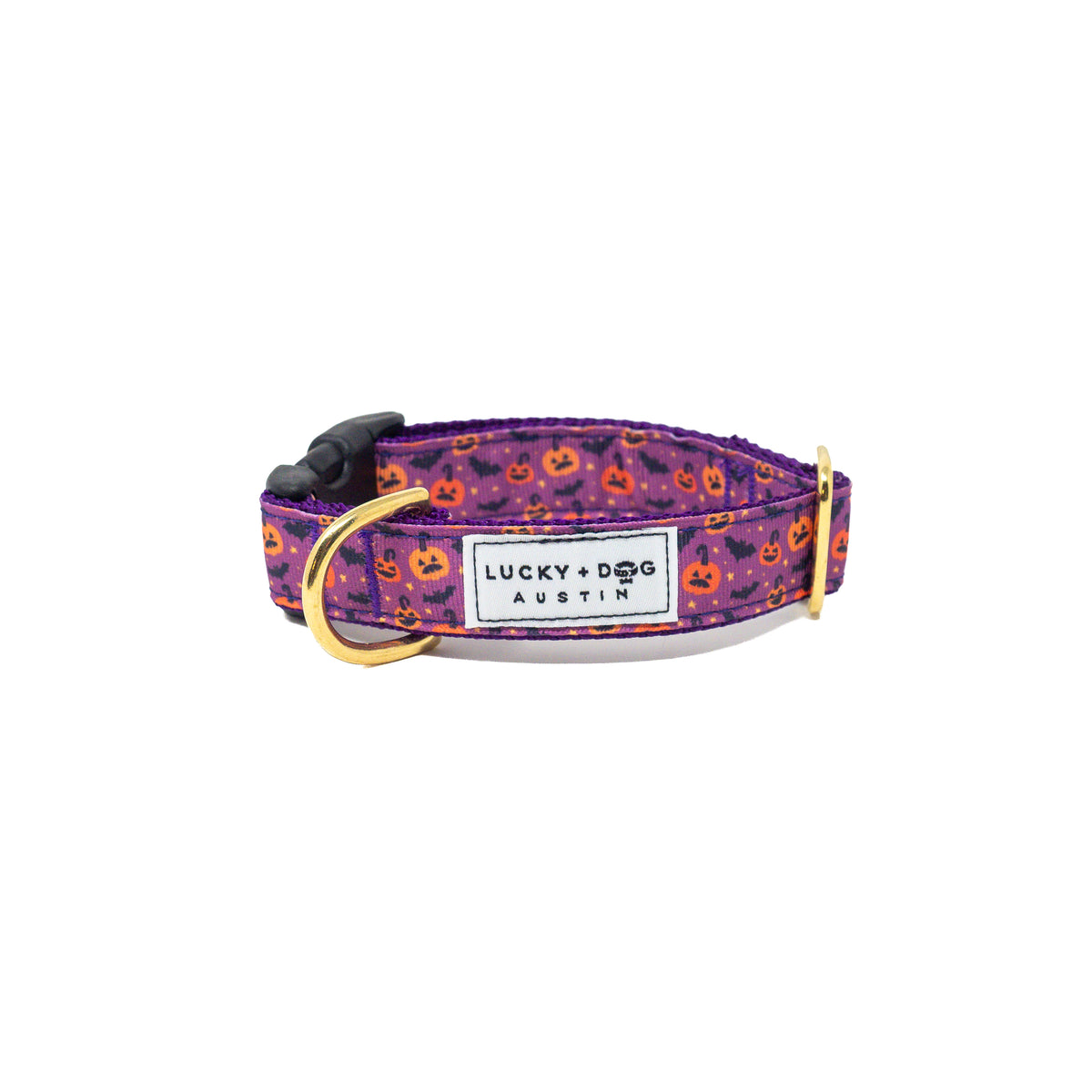 Activewear Collars Purple Potion LUCKY + DOG AUSTIN