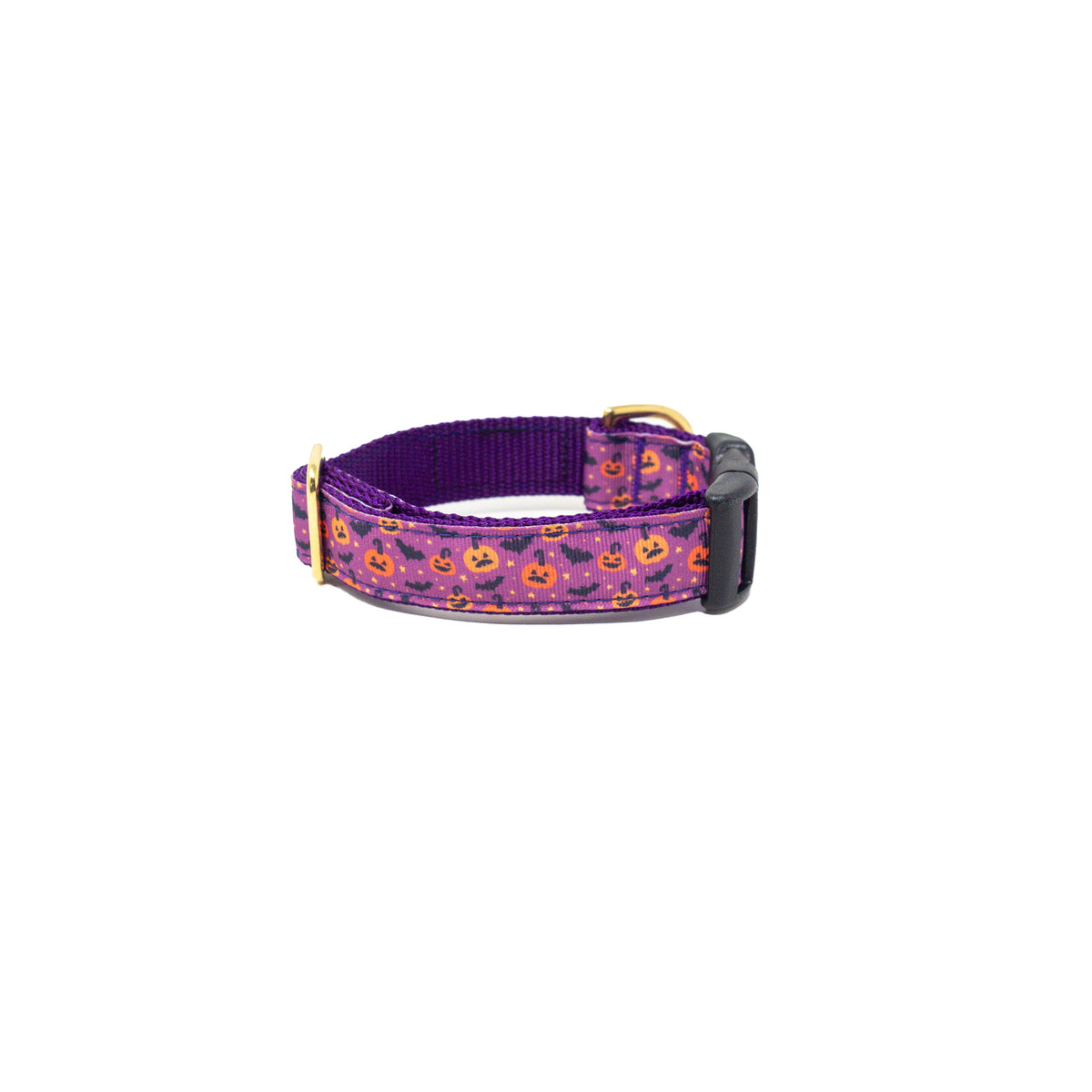 Activewear Collars Purple Potion LUCKY + DOG AUSTIN