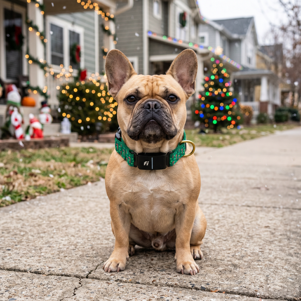 Fi Collar Band - Candy Cane Lane
