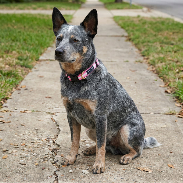 Activewear - Bubble Gum