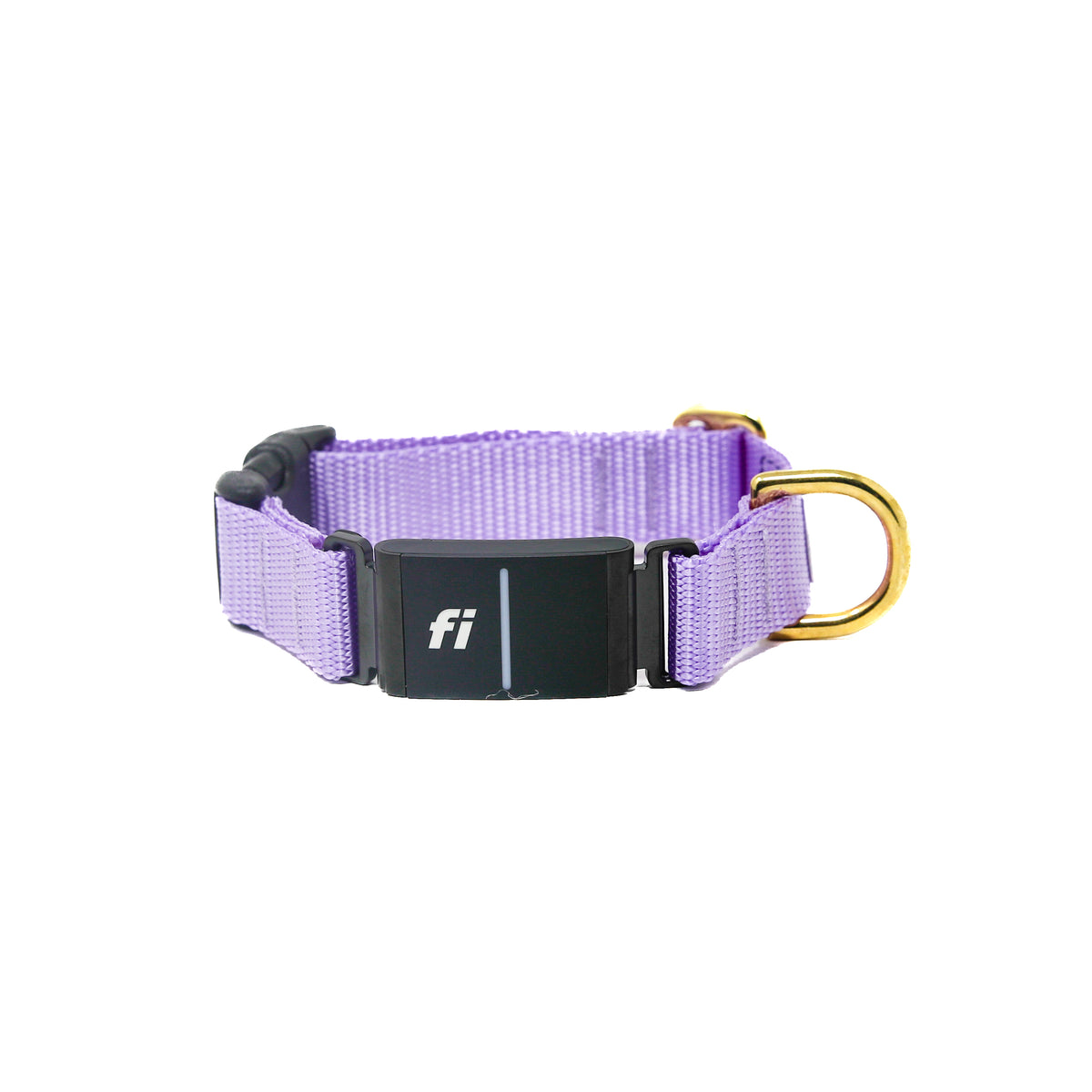 Purple groovy collar cheapest