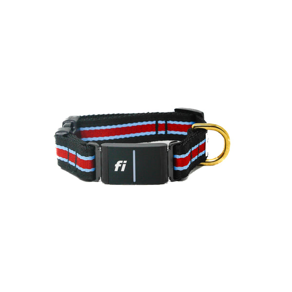 Fi Collar Band - The Rugby
