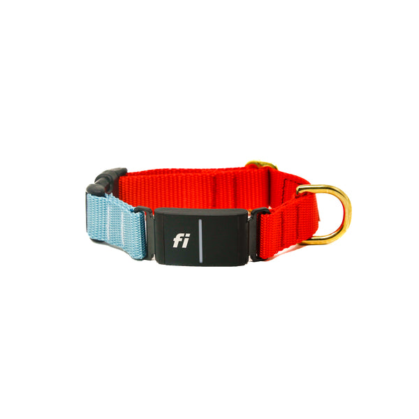 Fi Collar Band - Mix & Match  Fi Collar Band - Mix & Match
