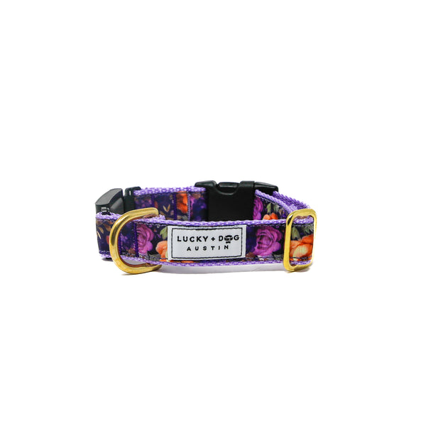 Fi Collar Band - Primrose Pup Fi Collar Band - Primrose Pup