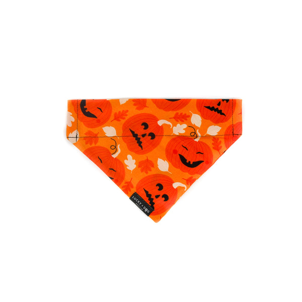 6 ft Leash - Pumpkin Pup