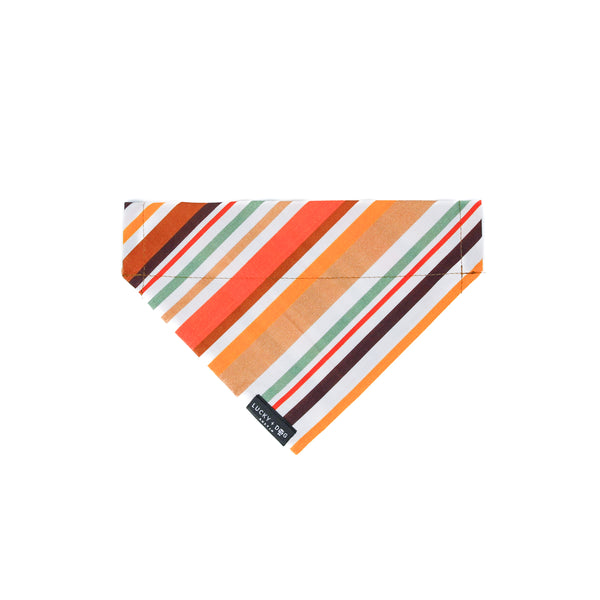 Activewear - Oak Pup
