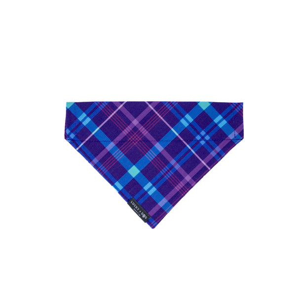 Purplaid Posh - Bandana  Purplaid Posh - Bandana