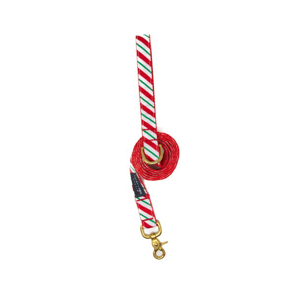 Fi Collar Band - Candy Cane Stripe  Fi Collar Band - Candy Cane Stripe