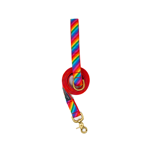 Activewear - Pride Collar