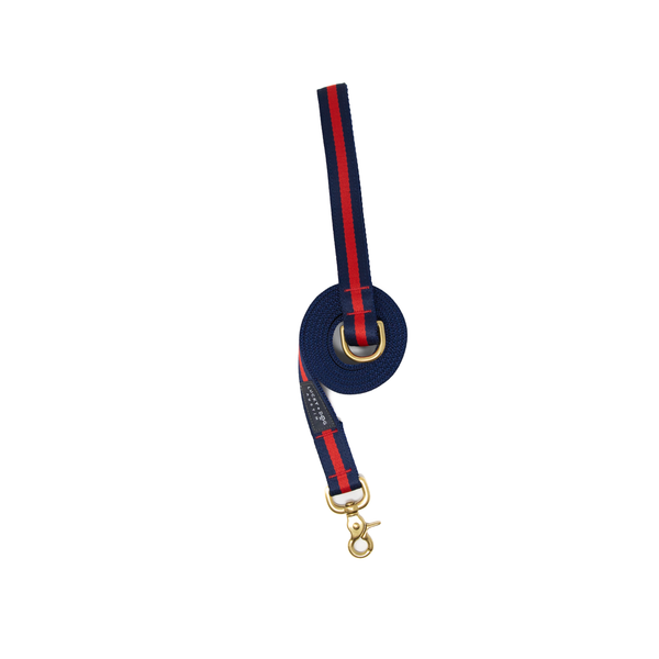 6 ft. Leash - Polo