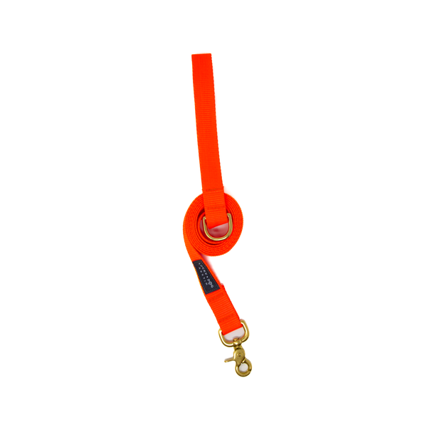 6 ft Leash - Neon Orange