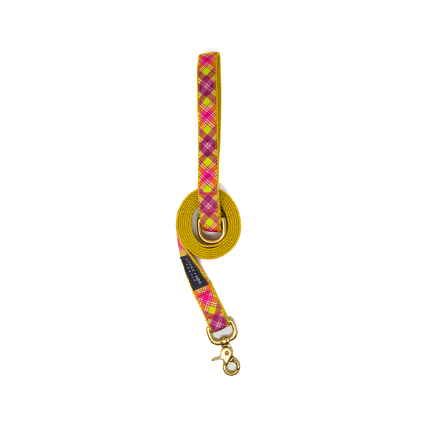 6 ft Leash - Firefly Nights  6 ft Leash - Firefly Nights