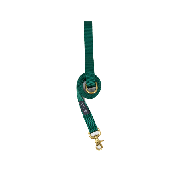Fi Collar Band - Forest Green