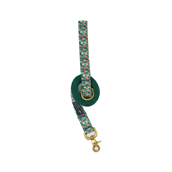 6 ft. Leash - Petal Pop