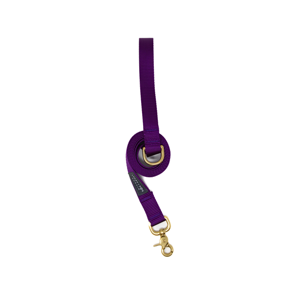 6 ft Leash - Purple