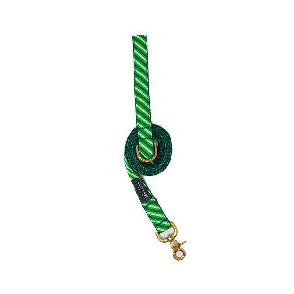 Fi Collar Band - Lucky Stripes