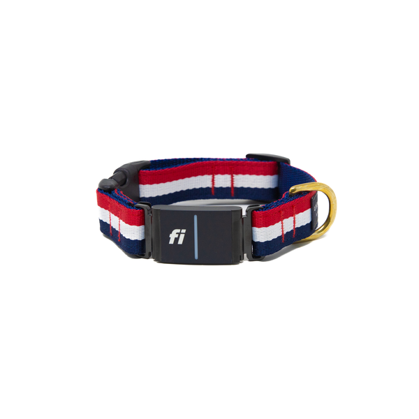 Fi Collar Band - Yankee Fi Collar Band - Yankee