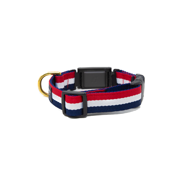 Fi Collar Band - Yankee Fi Collar Band - Yankee