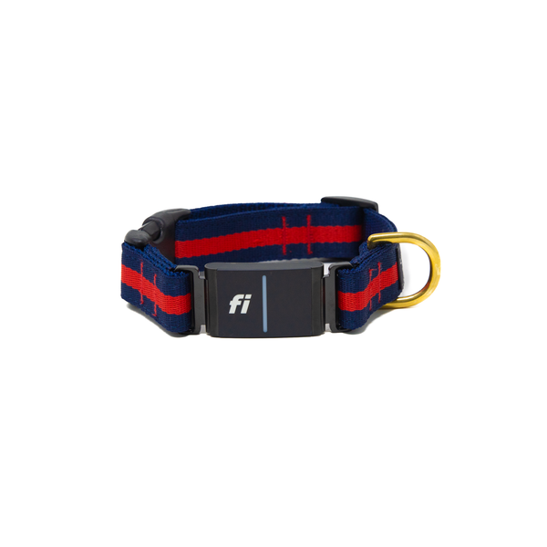 Fi Collar Band - Polo Fi Collar Band - Polo