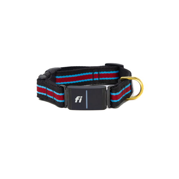 Fi Collar Band - Rugby Fi Collar Band - Rugby