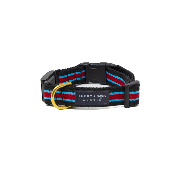 Fi Collar Band - Rugby  Fi Collar Band - Rugby