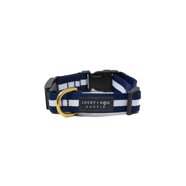Fi Collar Band - Sapphire