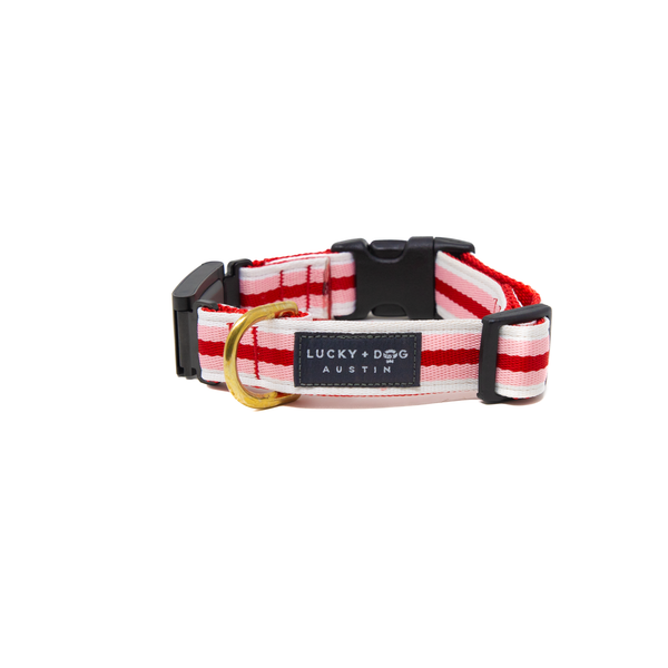 Fi Collar Band - Cherry Sundae  Fi Collar Band - Cherry Sundae