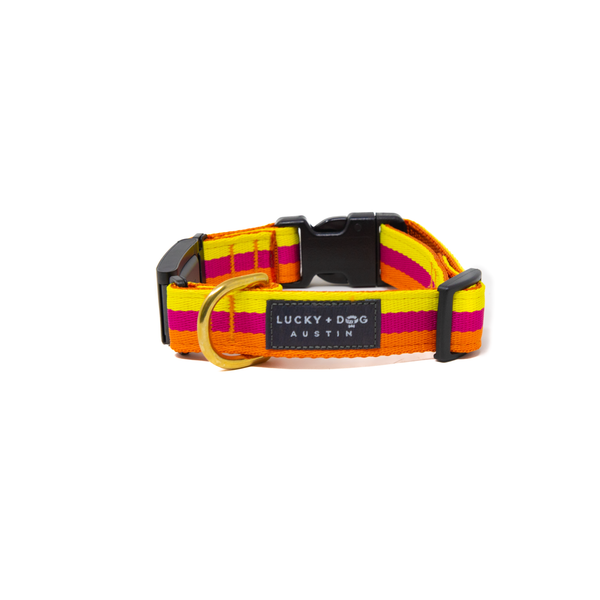Fi Collar Band - Sunset
