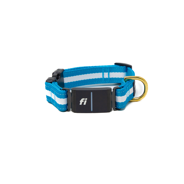 Fi Collar Band - Azul