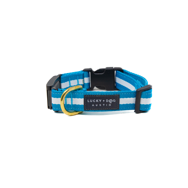 Fi Collar Band - Azul