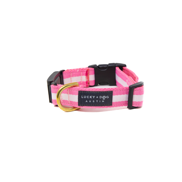 Fi Collar Band - Bubble Gum Fi Collar Band - Bubble Gum