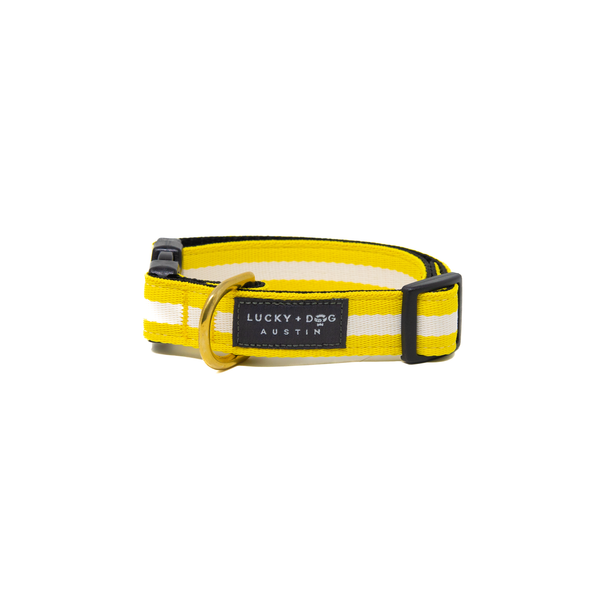 Activewear - Yellow Jacket Activewear - Yellow Jacket