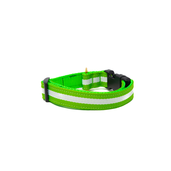 Activewear - Limeade Activewear - Limeade