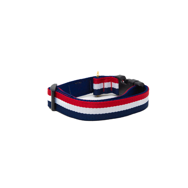 Activewear - Yankee Activewear - Yankee