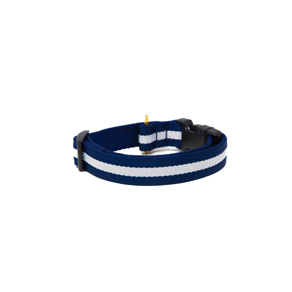 Activewear - Sapphire