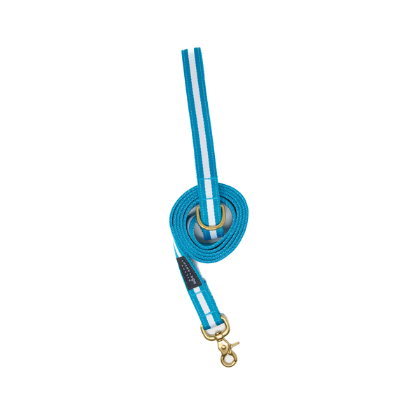 6 ft. Leash - Azul
