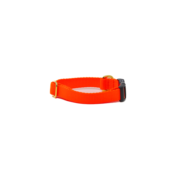 Small Dog Activewear - Neon Orange