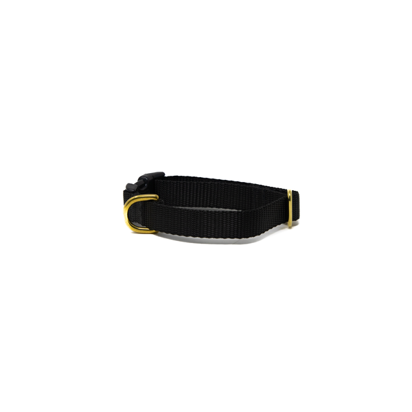Small Dog Activewear - Black Small Dog Activewear - Black