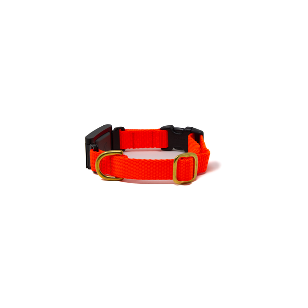 Small Dog Activewear Fi - Neon Orange