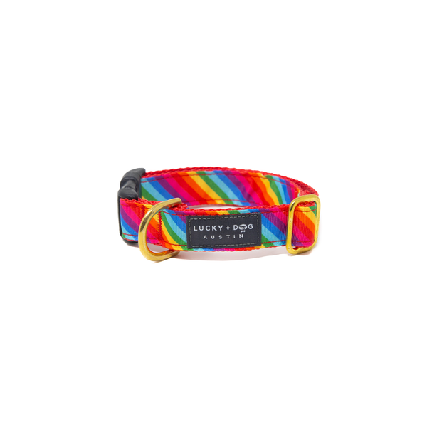 Activewear - Pride Collar