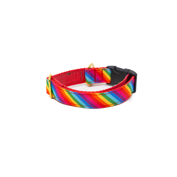 Activewear - Pride Collar