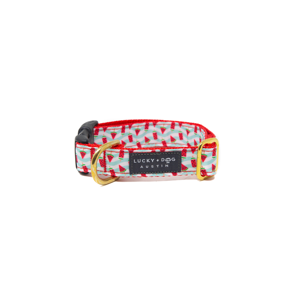 Activewear - Popsicle Paradise Activewear - Popsicle Paradise