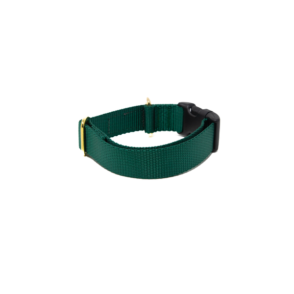 Activewear - Forest Green