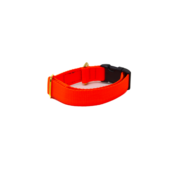 Activewear - Neon Orange
