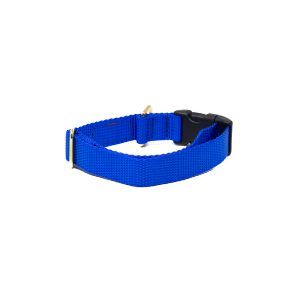 Activewear - Royal Blue