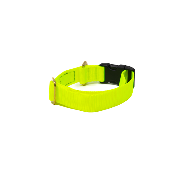 Activewear - Bright Yellow Activewear - Bright Yellow