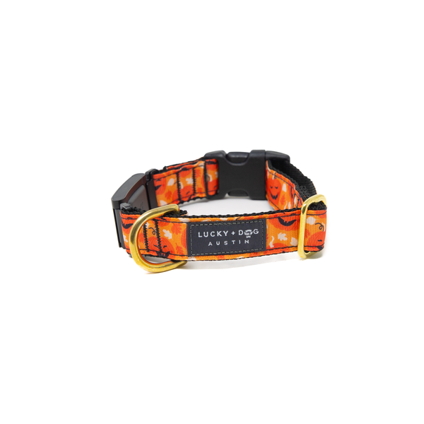 Fi Collar Band - Pumpkin Pup