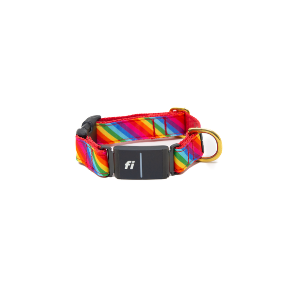 Fi Collar Band - Pride Fi Collar Band - Pride